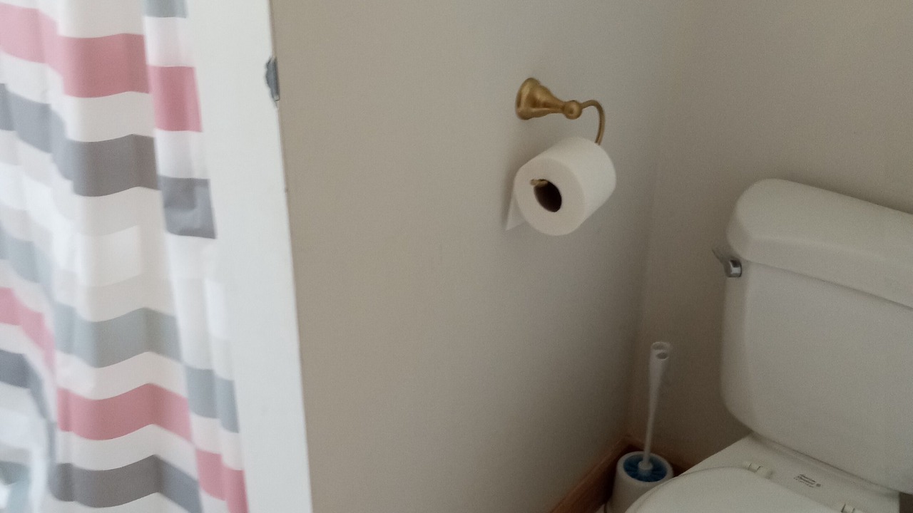 Photo of Bathroom in Modoc Shores