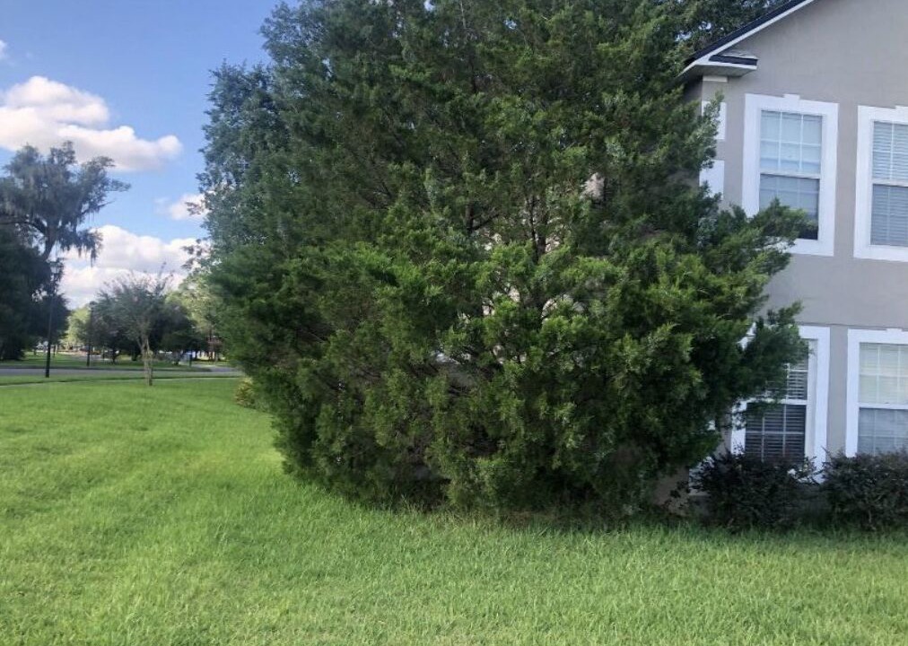Photo of Outdoor in Northside