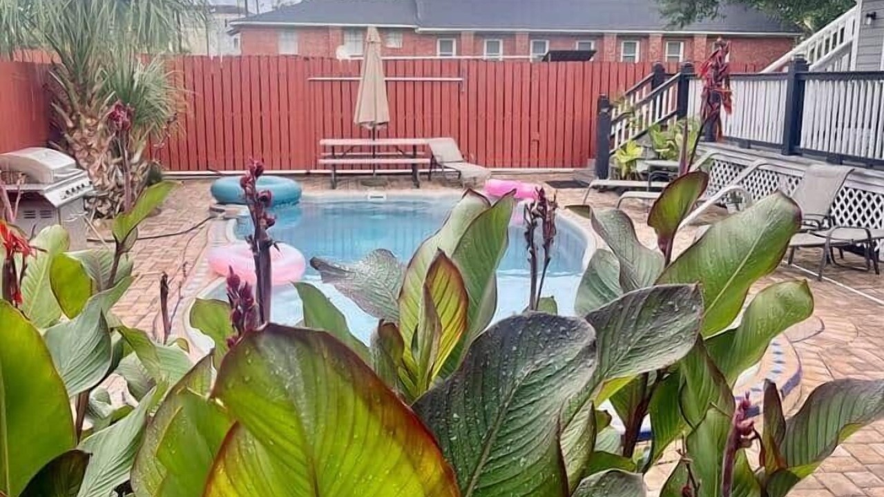 Photo of Outdoor in Beach Institute