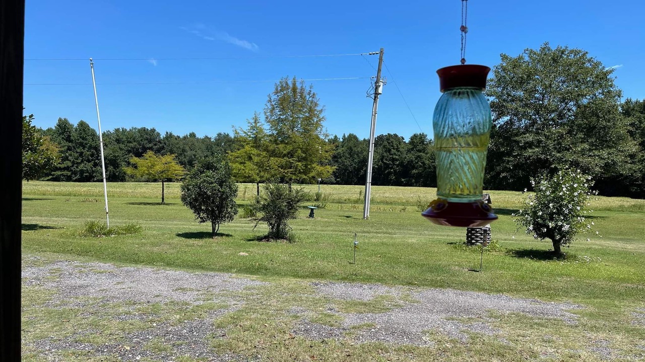 Photo of Outdoor in Orangeburg County