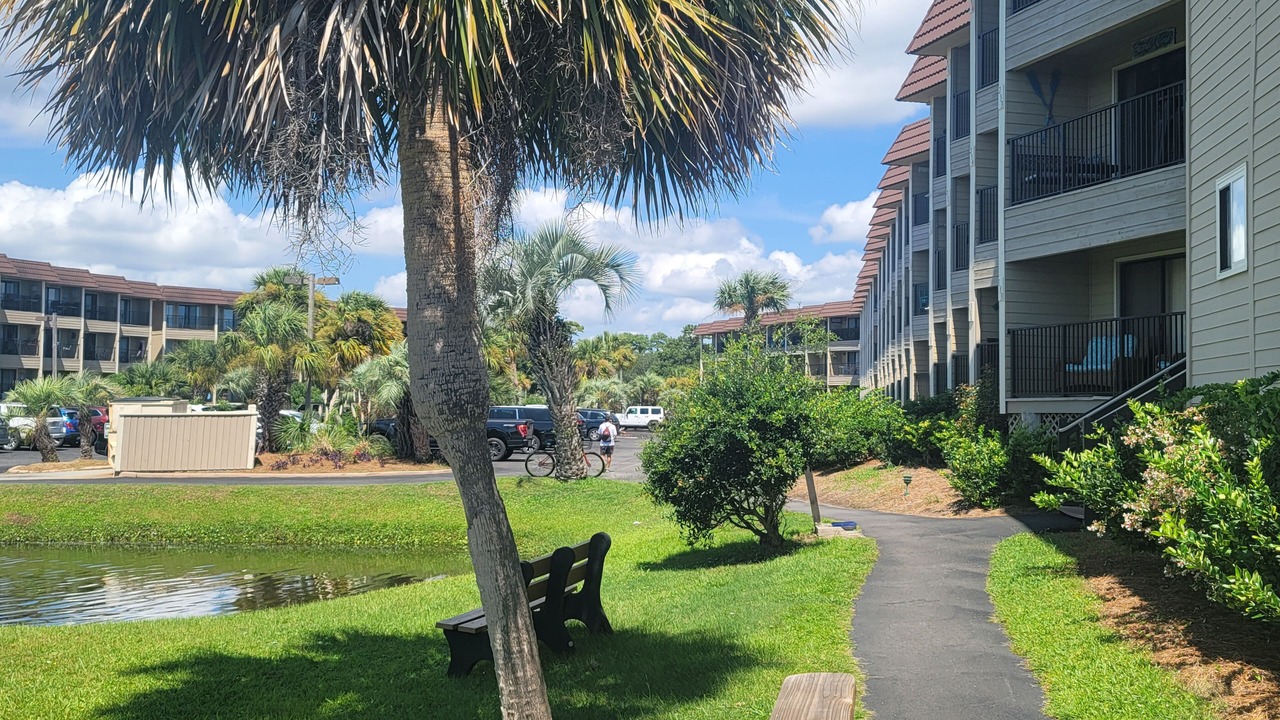 Photo of Outdoor in Folly Field