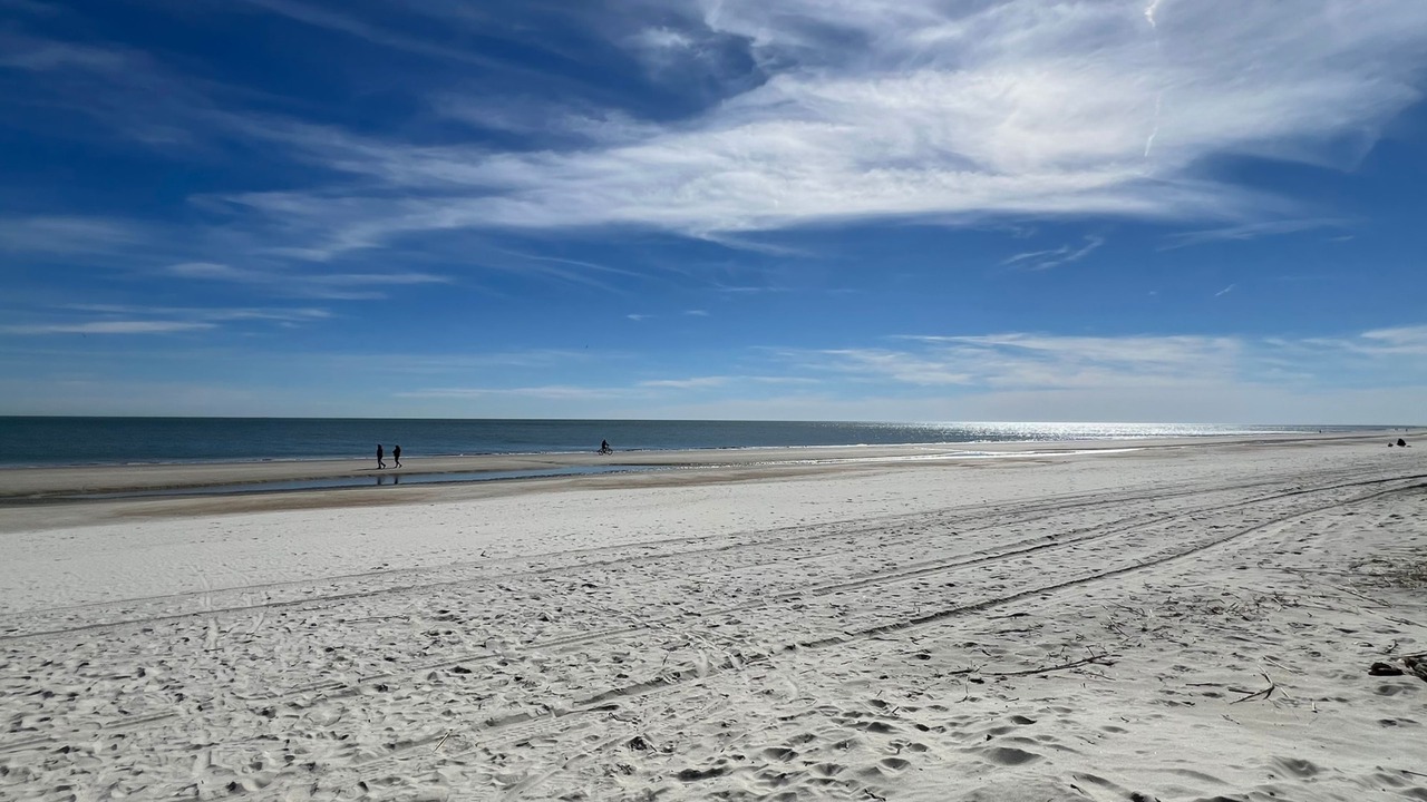 Photo of Others in Folly Field