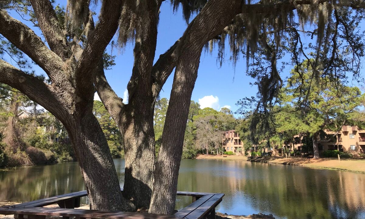 Photo of Others in Folly Field