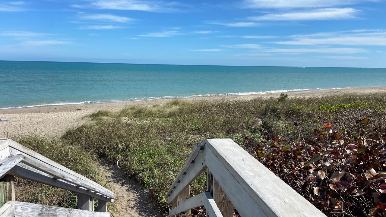Photo of Others in Hutchinson Island South