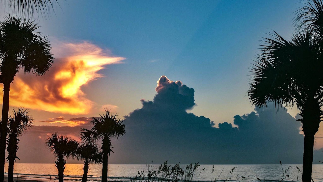 Photo of Others in Pawleys Island