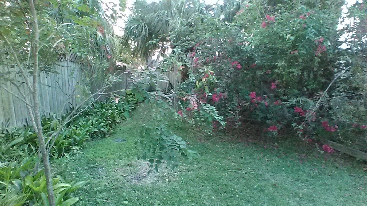 Photo of Others in Sebastian