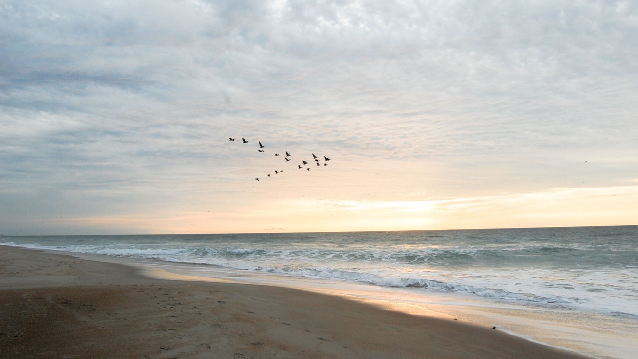 Photo of Others in Emerald Isle