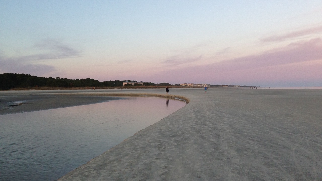 Photo of Others in Folly Field