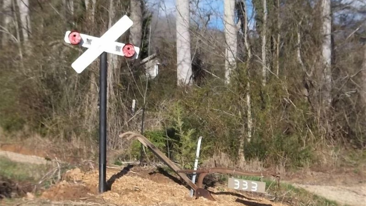 Photo of Others in Pisgah Forest
