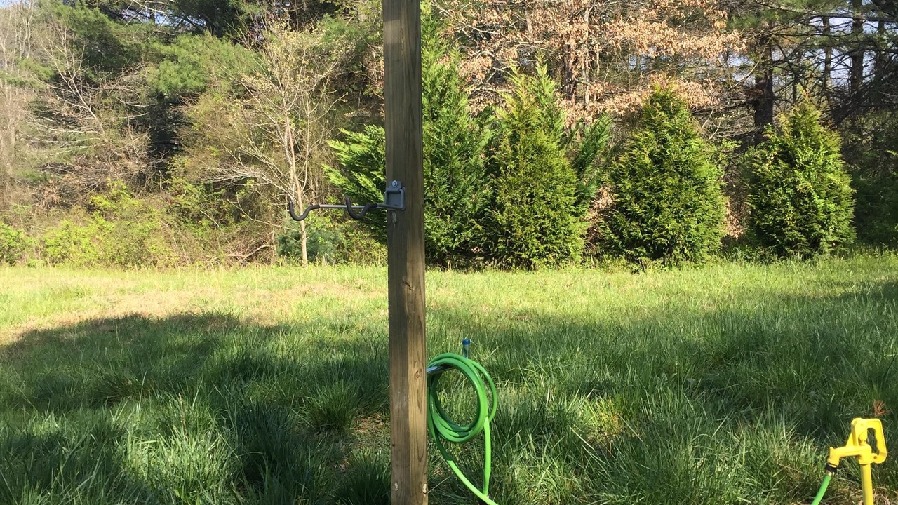 Photo of Others in Pisgah Forest