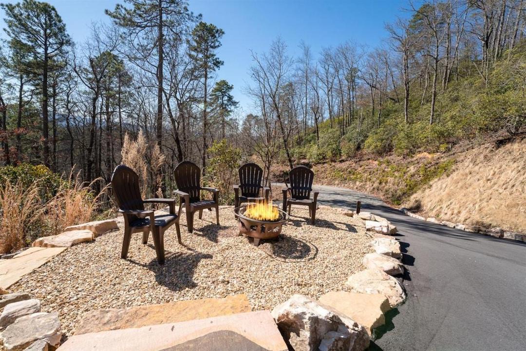 Photo of Others in Pisgah Forest