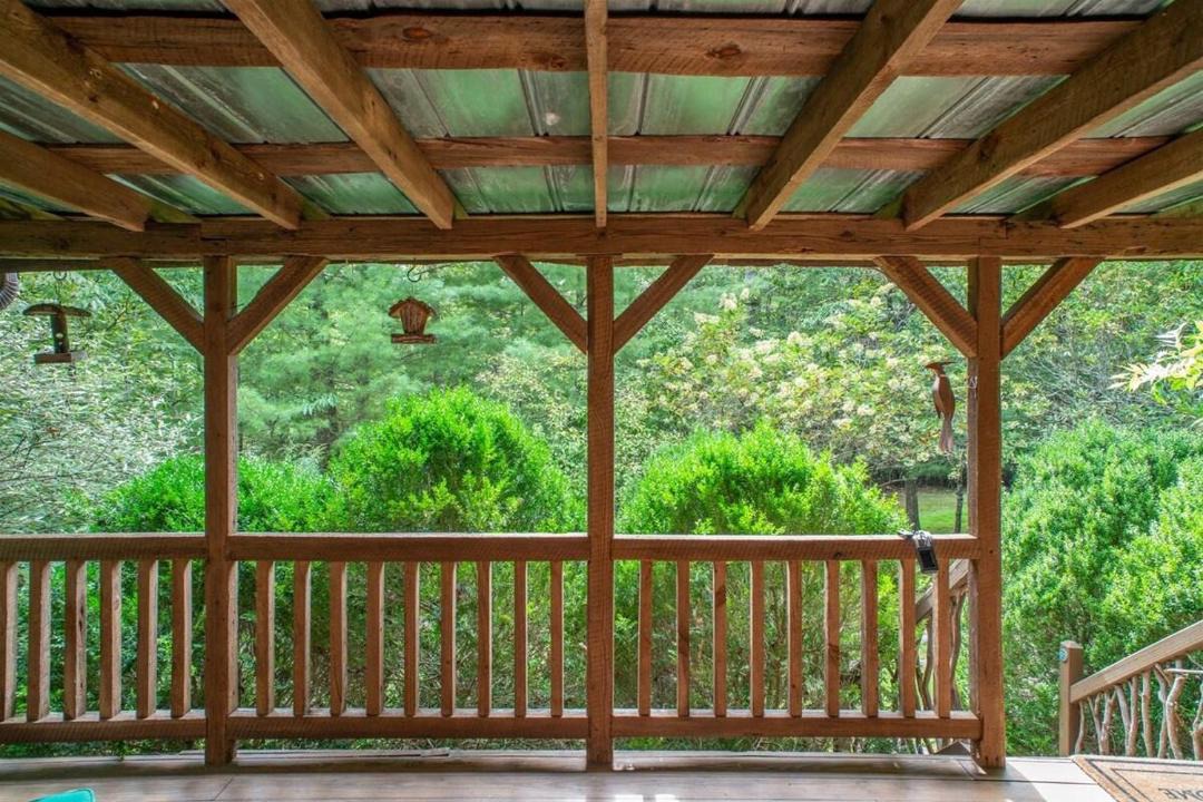 Photo of Others in Pisgah Forest