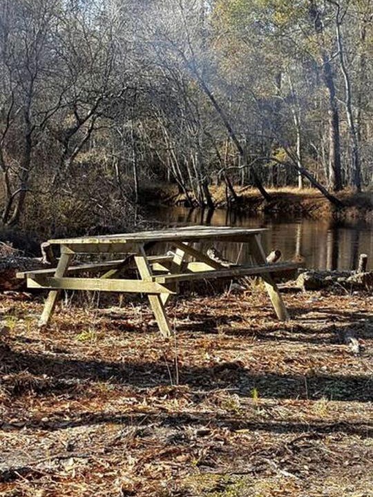 Photo of Others in Claxton