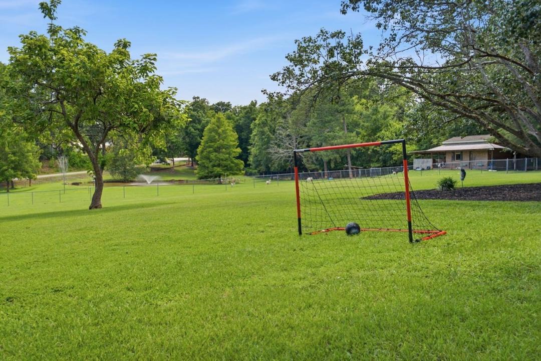 Photo of Outdoor in Irmo