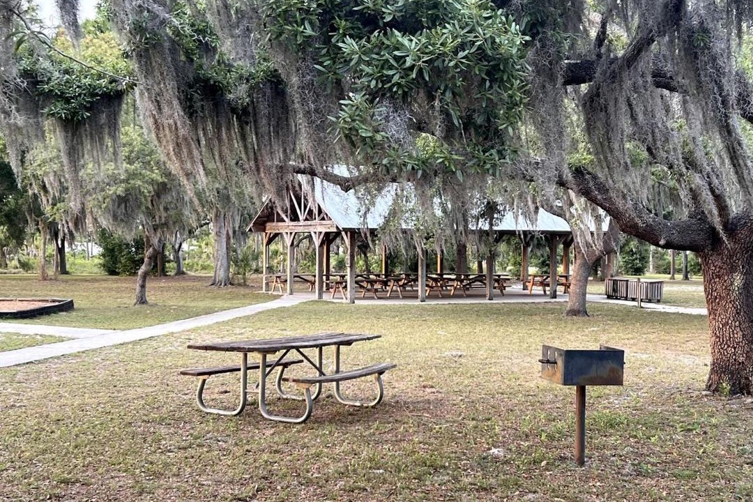 Photo of Others in Braden River