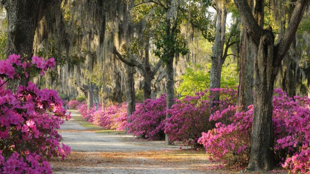Photo of Others in Savannah Victorian District
