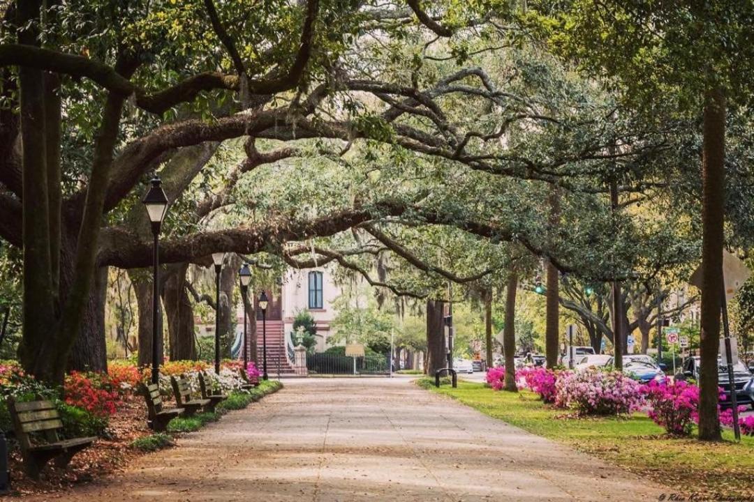 Photo of Others in Savannah Victorian District