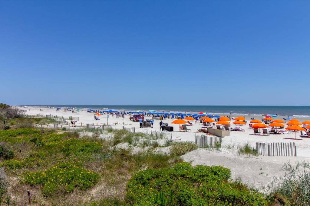 Photo of Others in Sea Pines