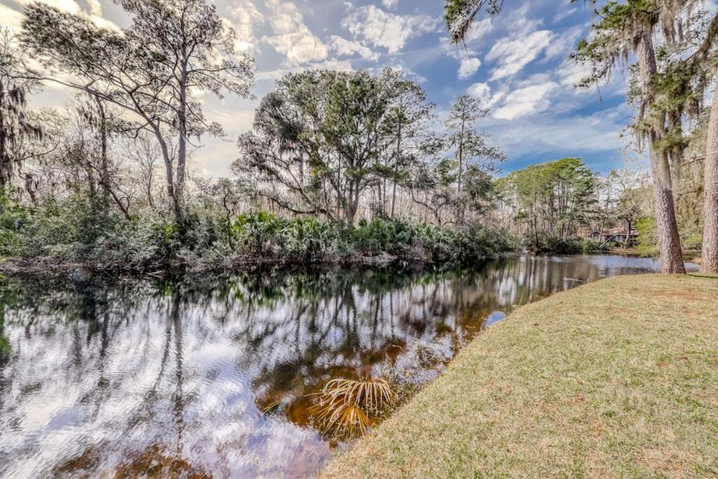 Photo of Others in Sea Pines