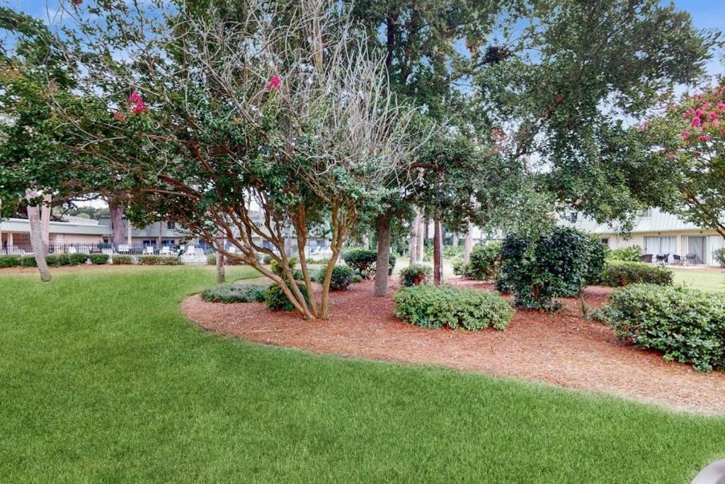 Photo of Others in Hilton Head Island