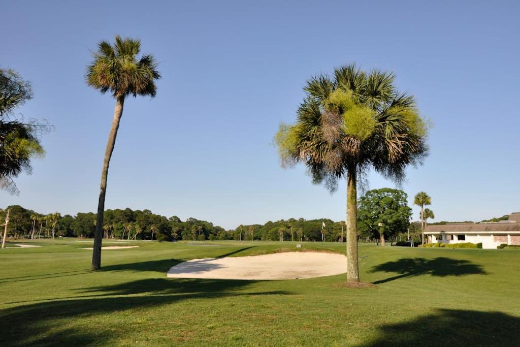 Photo of Others in Hilton Head Island