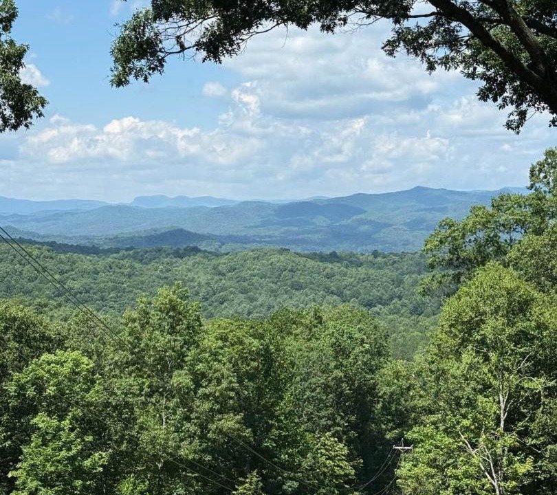 Photo of Others in Pisgah Forest