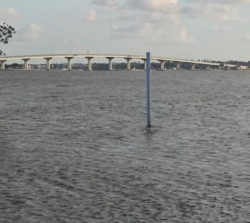Photo of Others in Hutchinson Island South