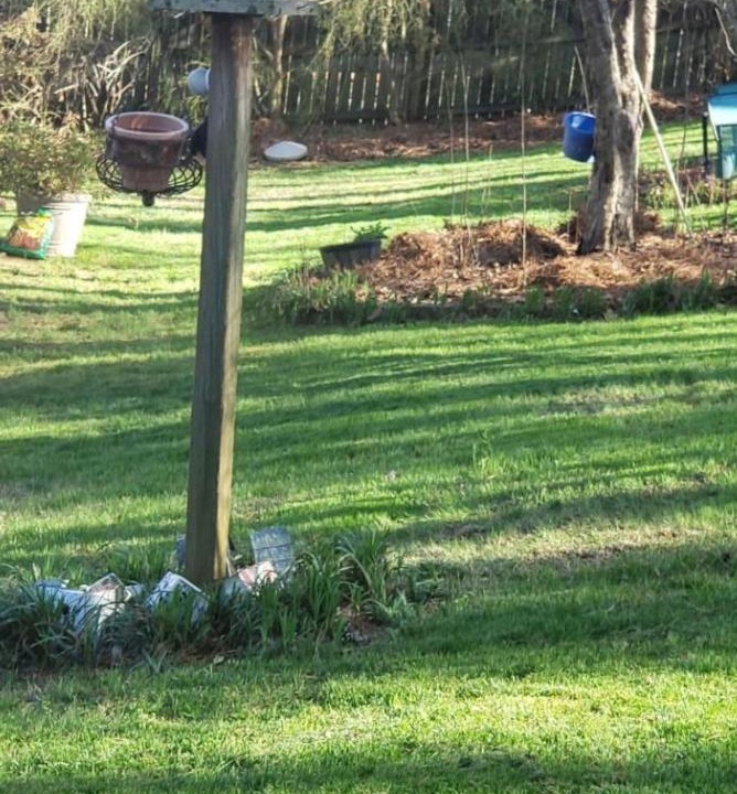Photo of Others in Dacula