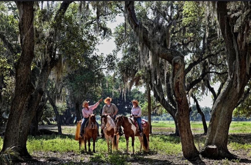 Photo of Others in River Ranch