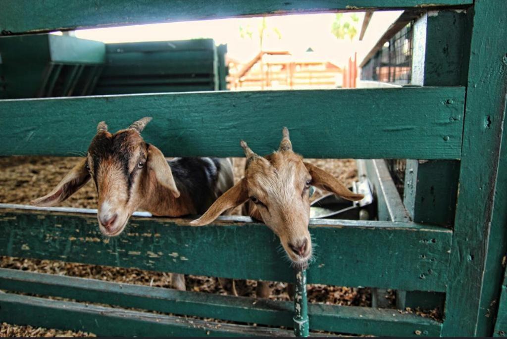 Photo of Others in River Ranch