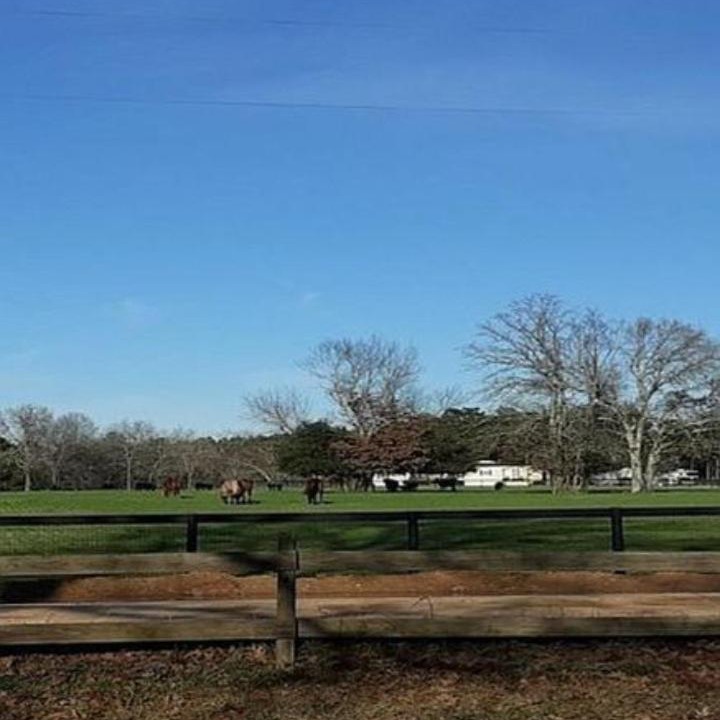Photo of Others in Aiken