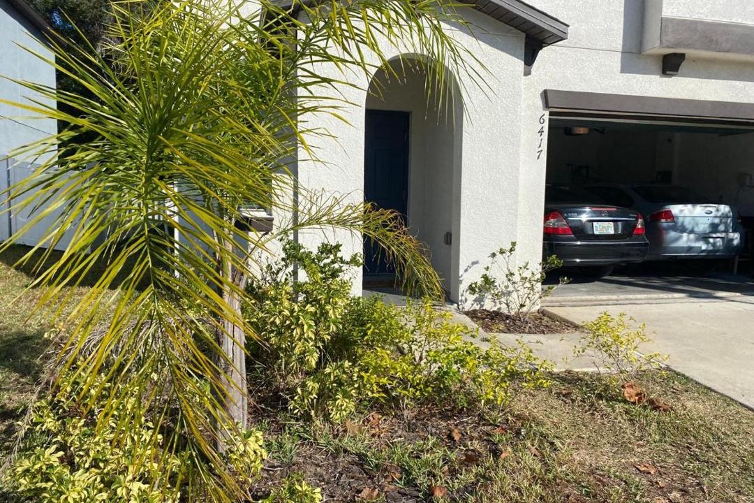 Photo of Others in Zephyrhills West