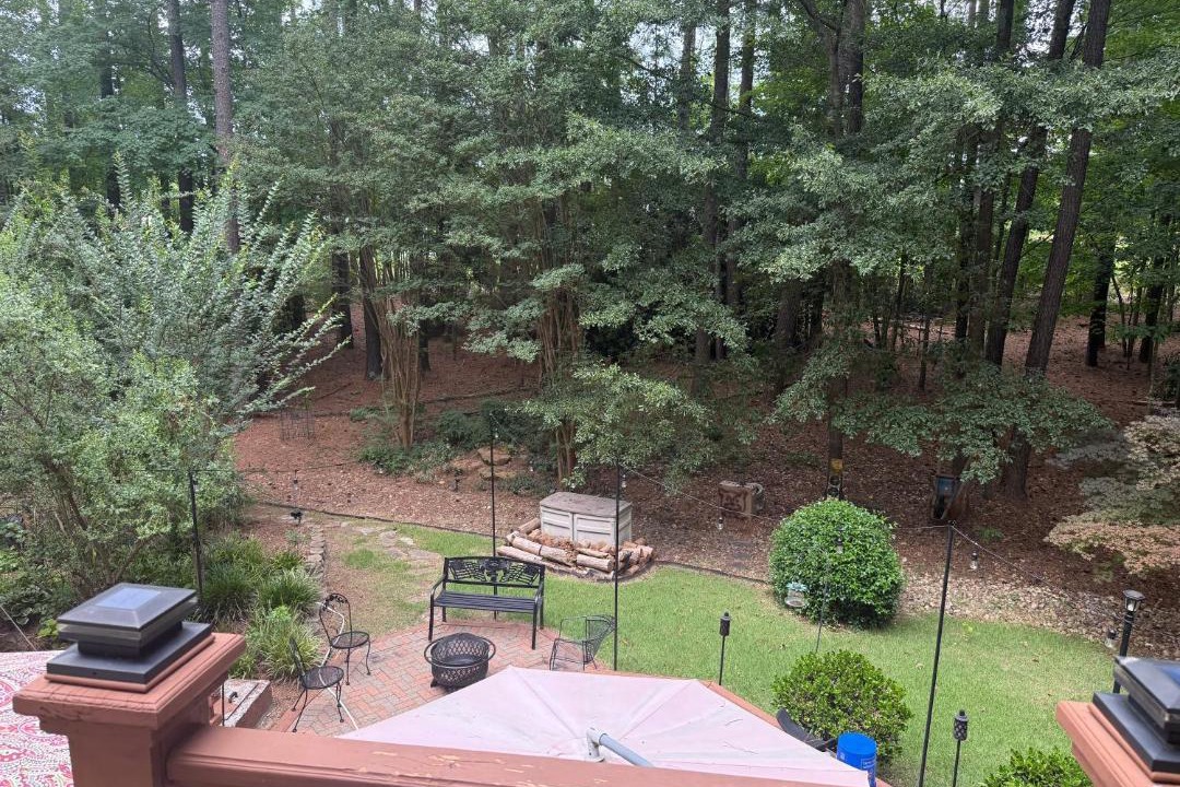 Photo of Others in Clayton
