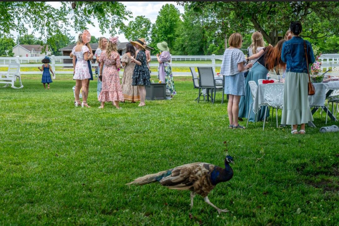 Photo of Others in Parkton