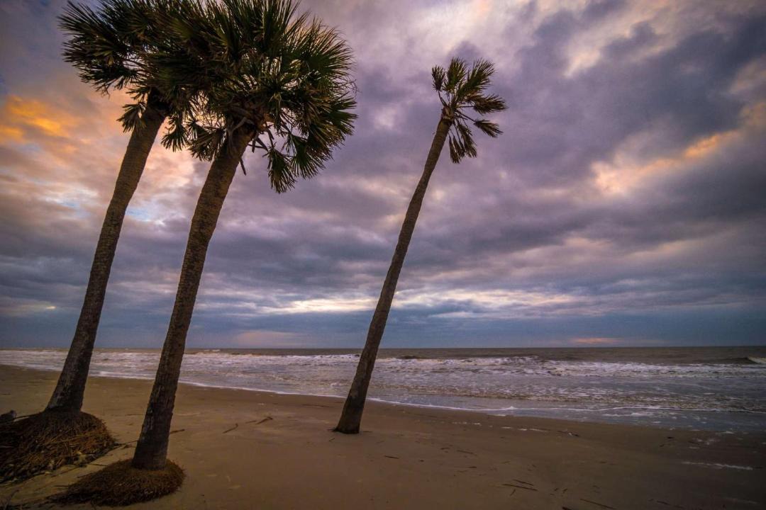 Photo of Others in Beaufort