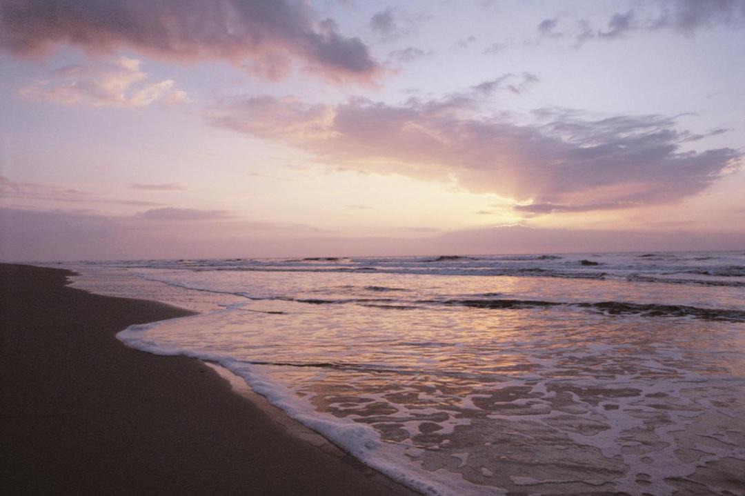 Photo of Others in Hilton Head Island