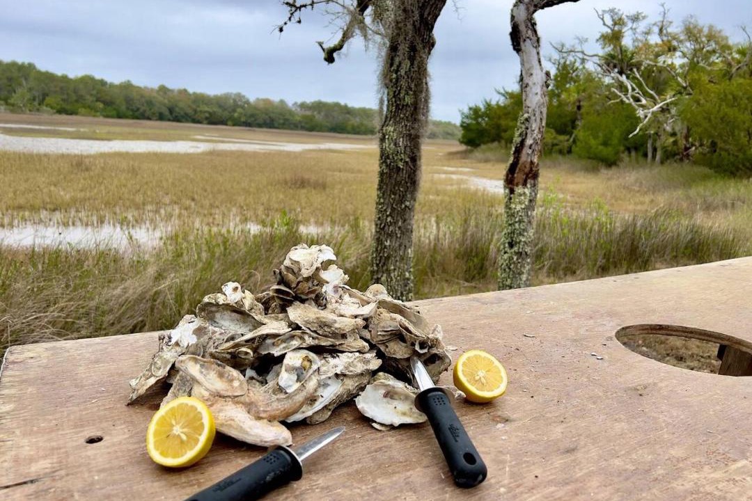 Photo of Others in Edisto Island