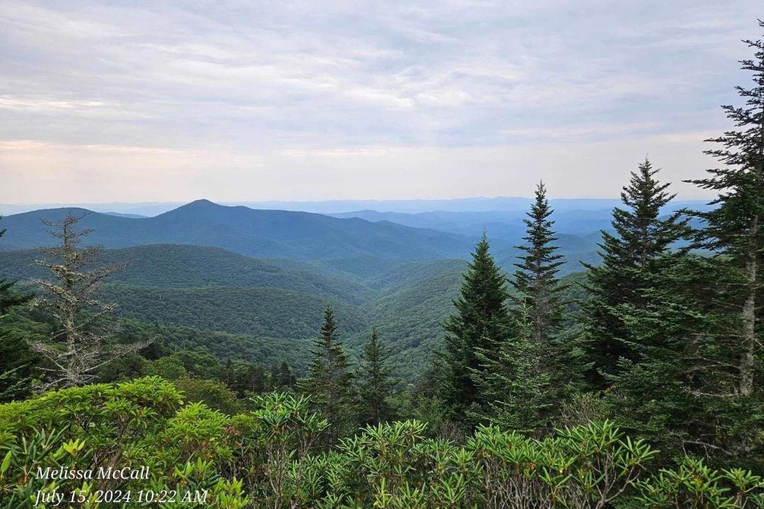 Photo of Others in Brevard