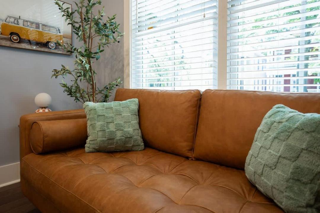 Photo of Livingroom in Dixon Park