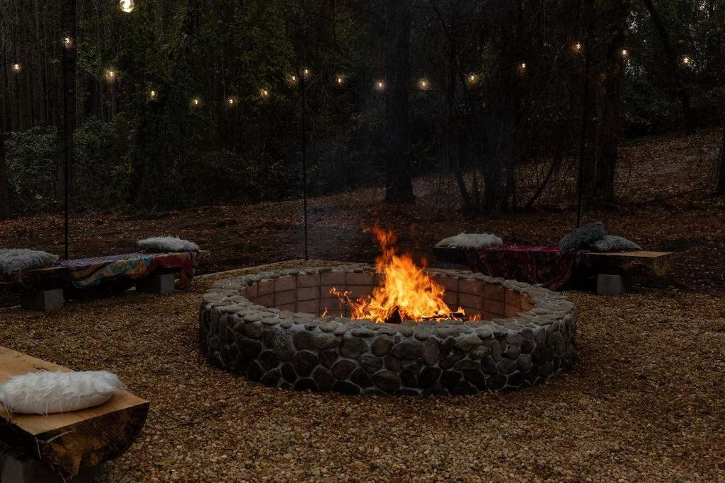 Photo of Others in Pine Forest