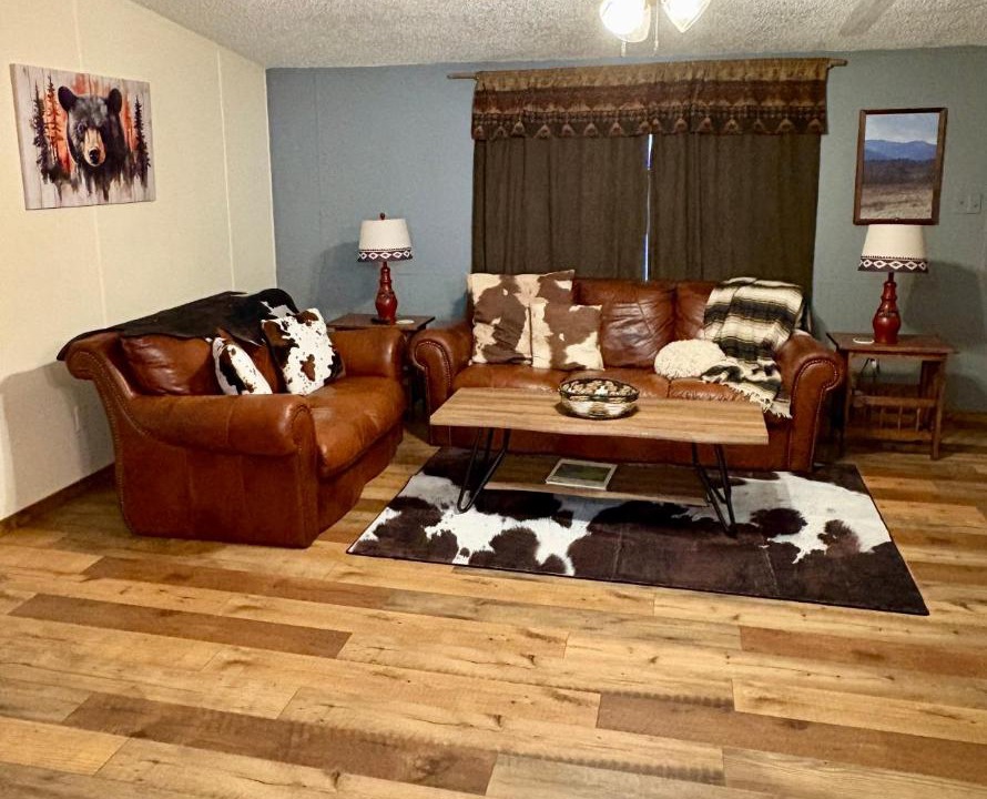Photo of Livingroom in Pickens