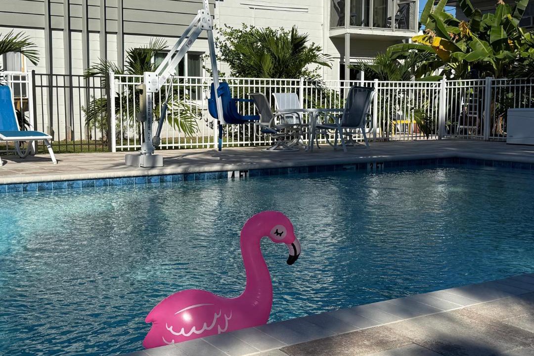 Photo of Others in Sarasota