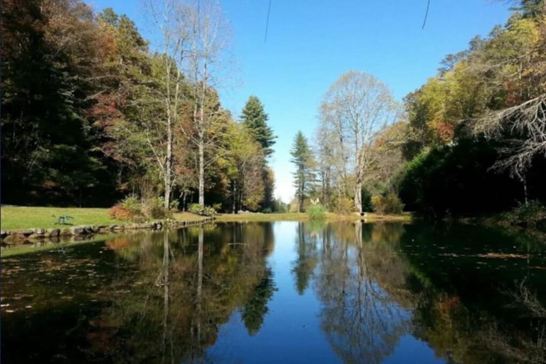 Photo of Others in Brevard
