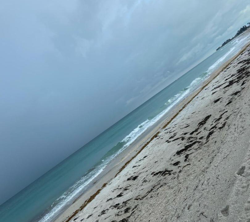 Photo of Others in Bradenton