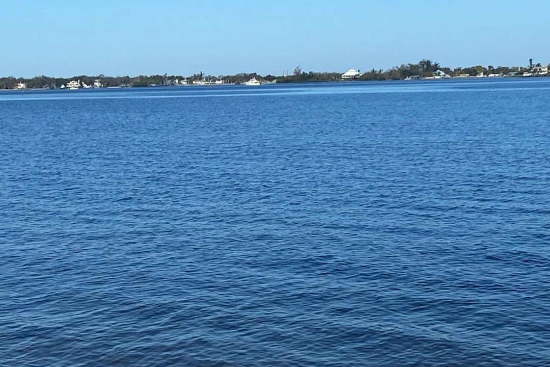 Photo of Others in Bradenton