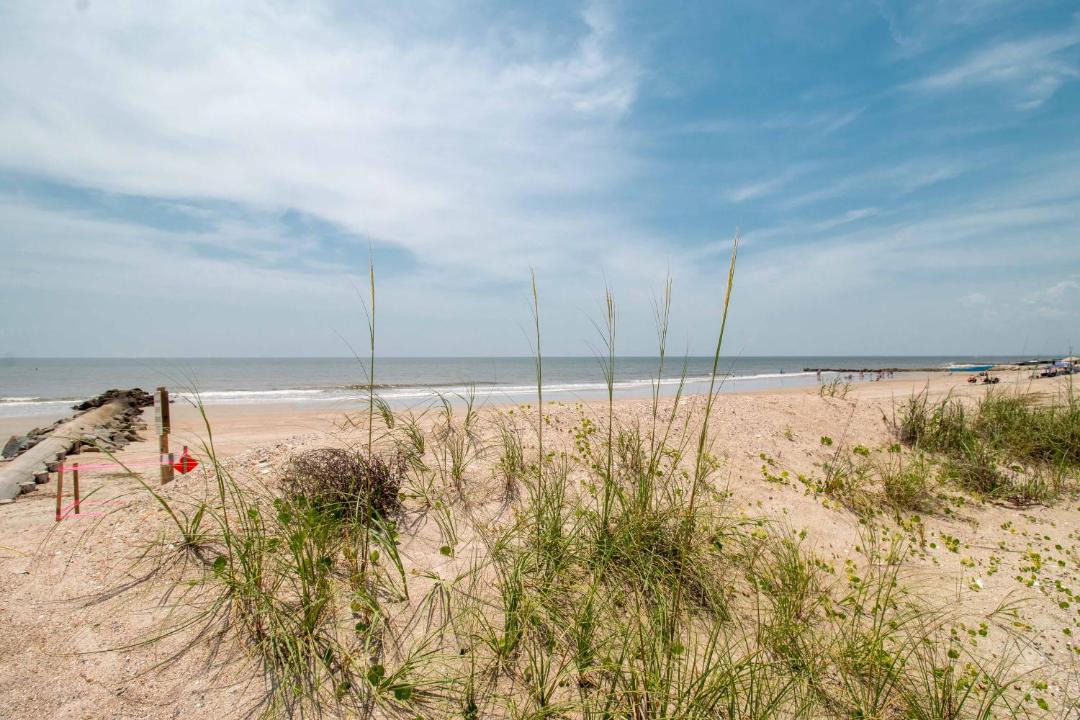 Photo of Others in Edisto Island
