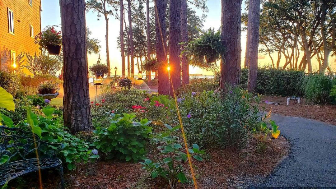 Photo of Others in Palmetto Dunes