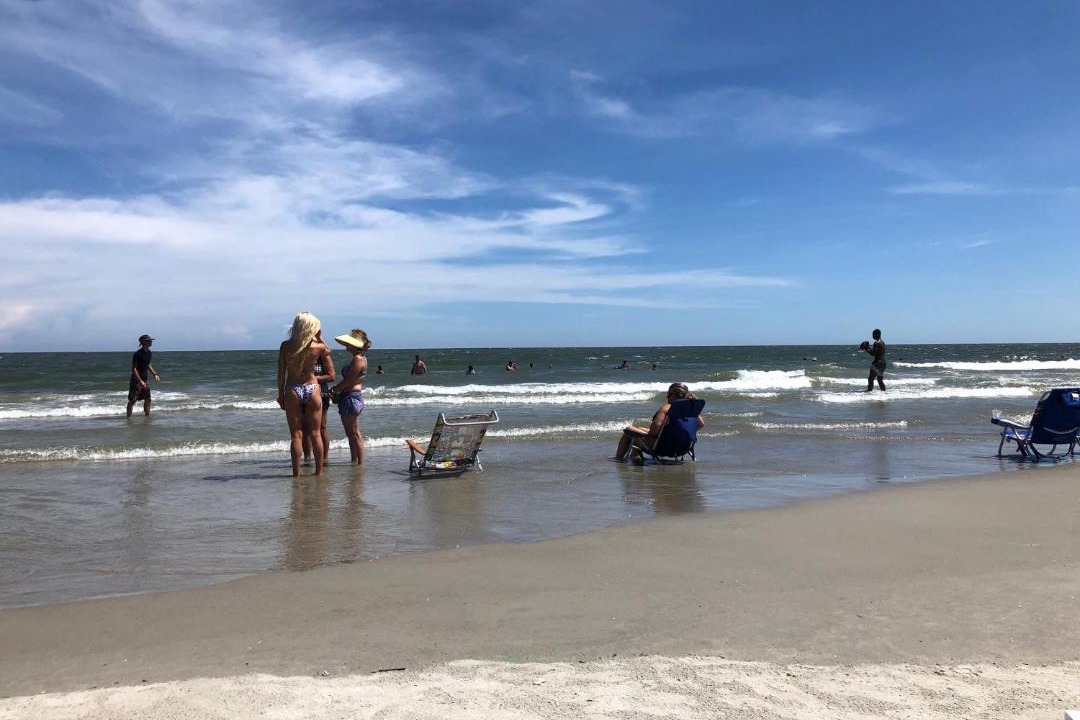 Photo of Others in Folly Field