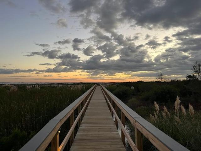 Photo of Others in Saint Helena Island