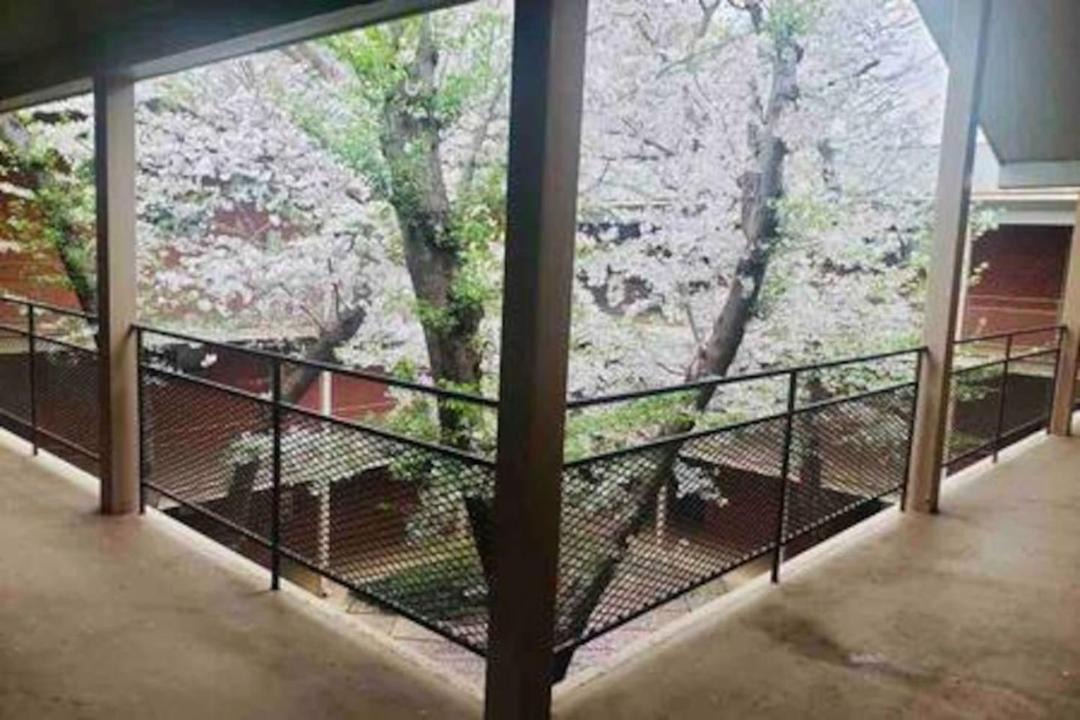Photo of Patio Balcony in Athens
